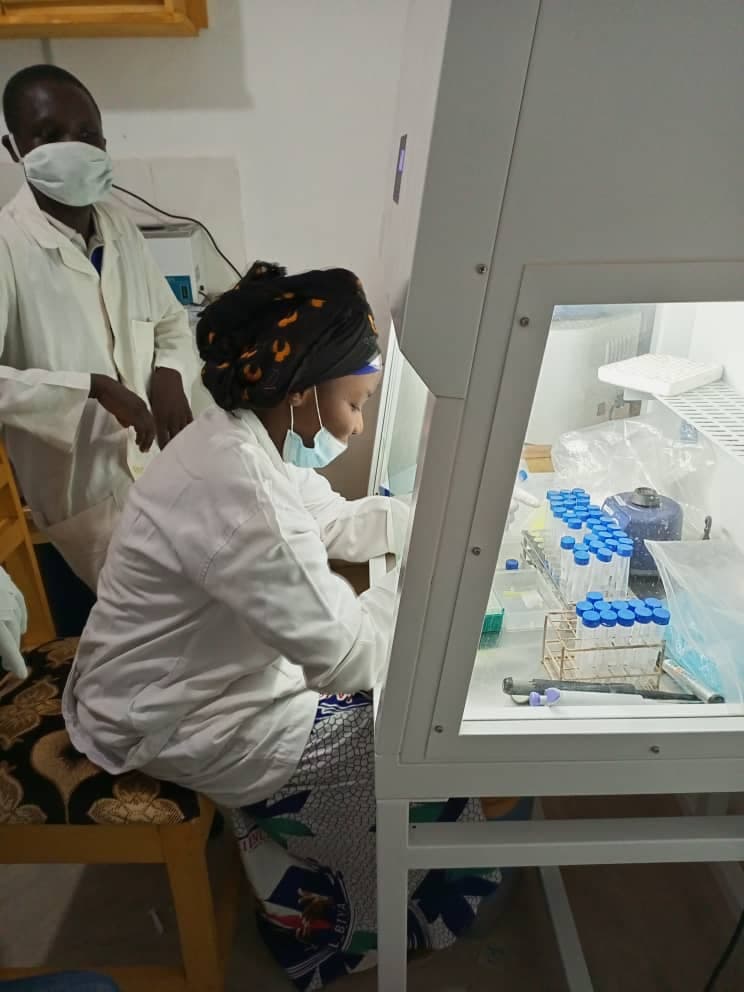 Accompagnement Professionnel